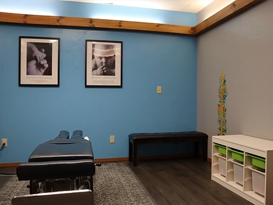 Laser Therapy Green Bay WI Family Room